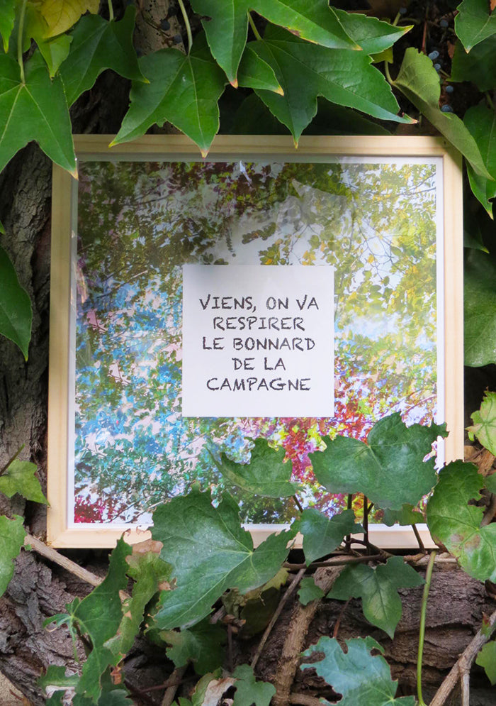 AFFICHE BONNARD AU MOTIF FÉÉRIE